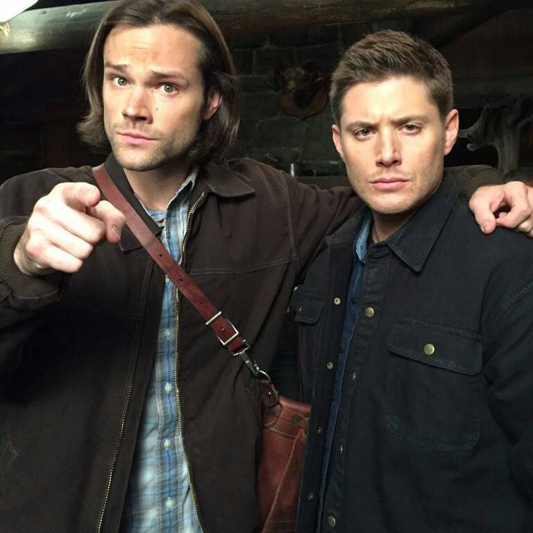 They are sooooo cool